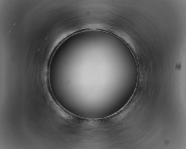 X0000101481040200807141410