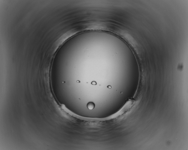 X0000101481041200807141410