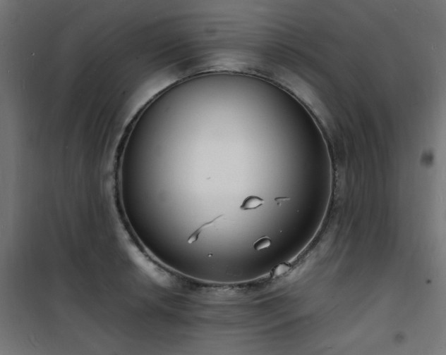 X0000101481042200807141410