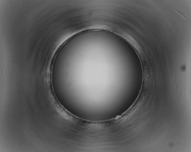 X0000101481044200807141410
