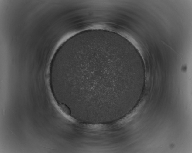X0000101481045200807141410