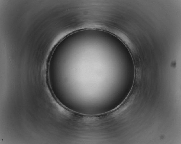 X0000101481046200807141410