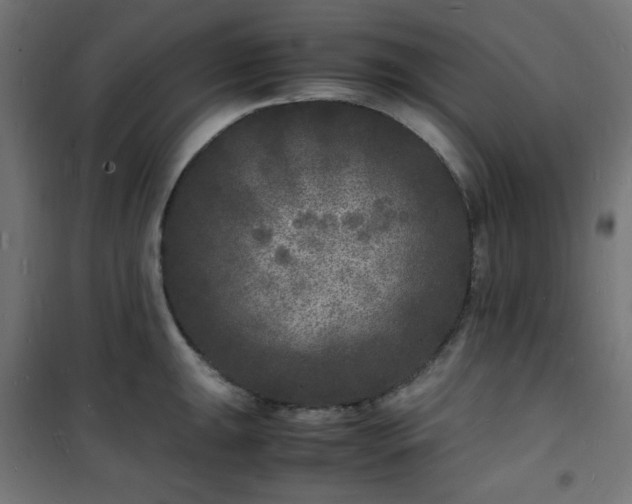 X0000101481047200807141410