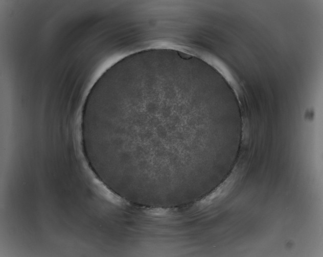 X0000101481048200807141410