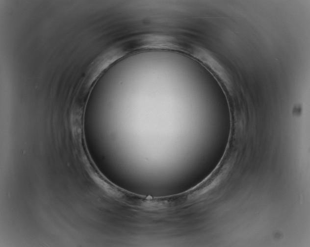 X0000101481049200807141410