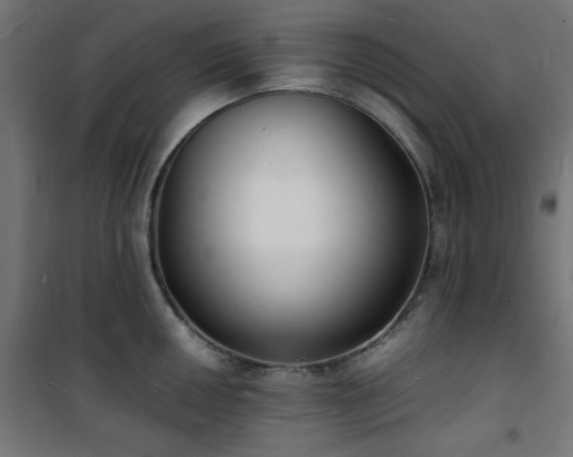 X0000101481050200807141410
