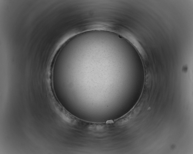 X0000101481051200807141410