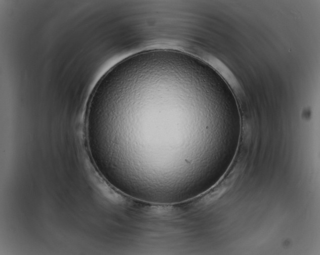 X0000101481052200807141410