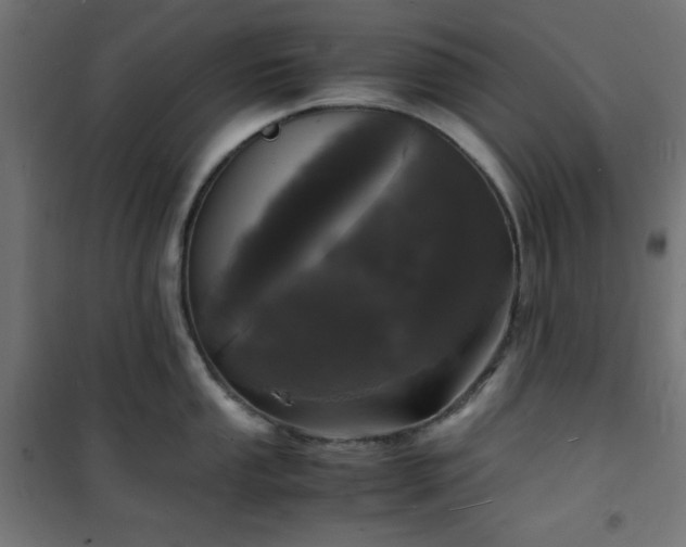 X0000101481053200807141410