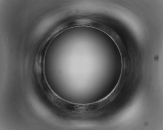 X0000101481054200807141410