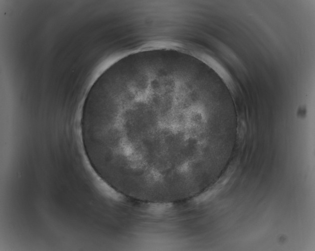 X0000101481055200807141410