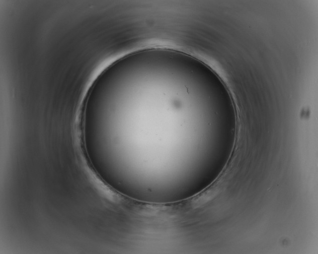 X0000101481056200807141410