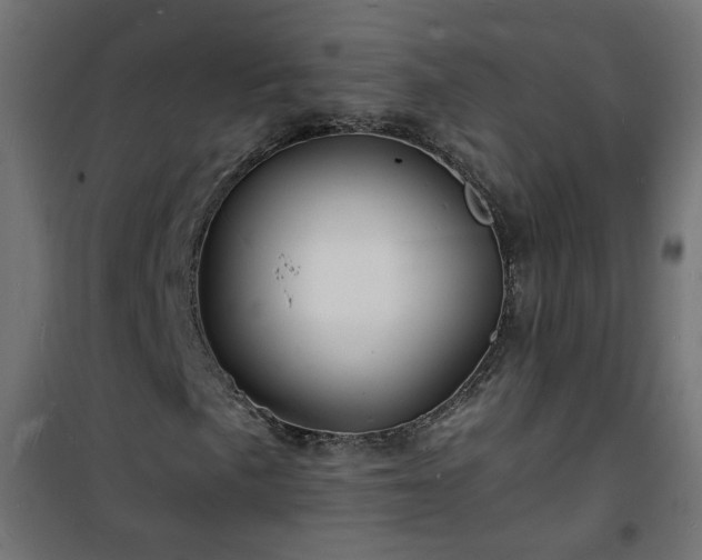 X0000101481057200807141410