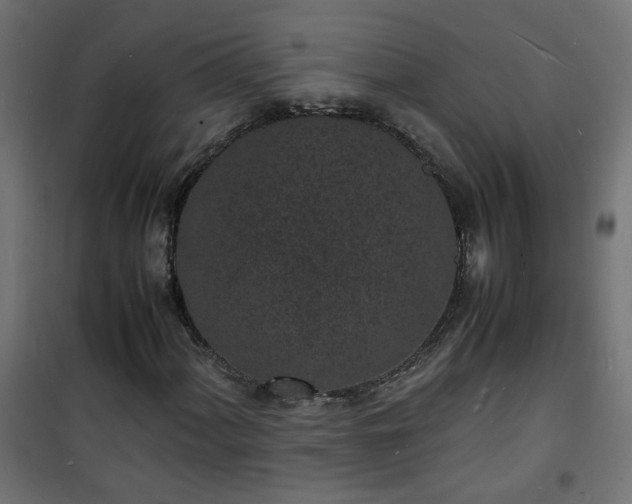 X0000101481060200807141410
