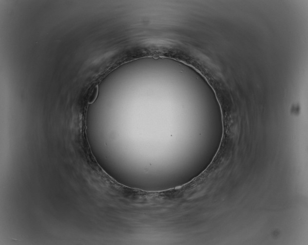 X0000101481061200807141410
