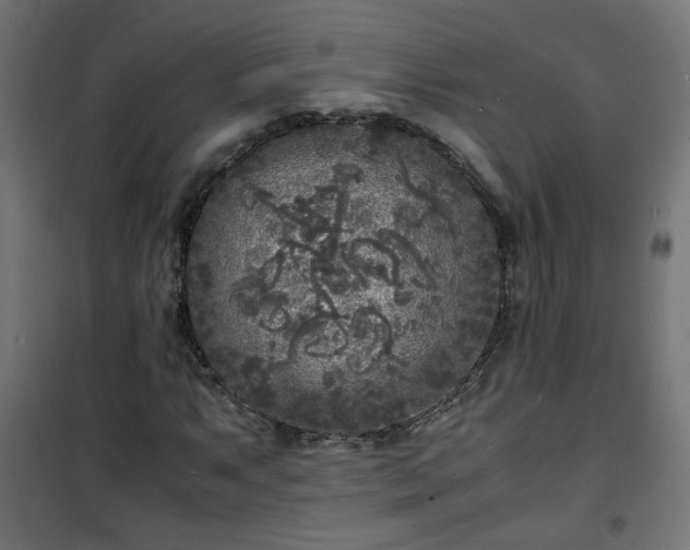 X0000101481063200807141409