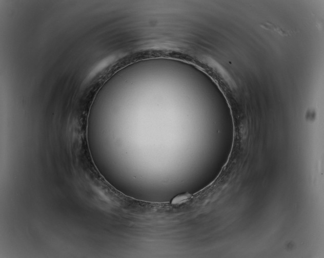 X0000101481064200807141409