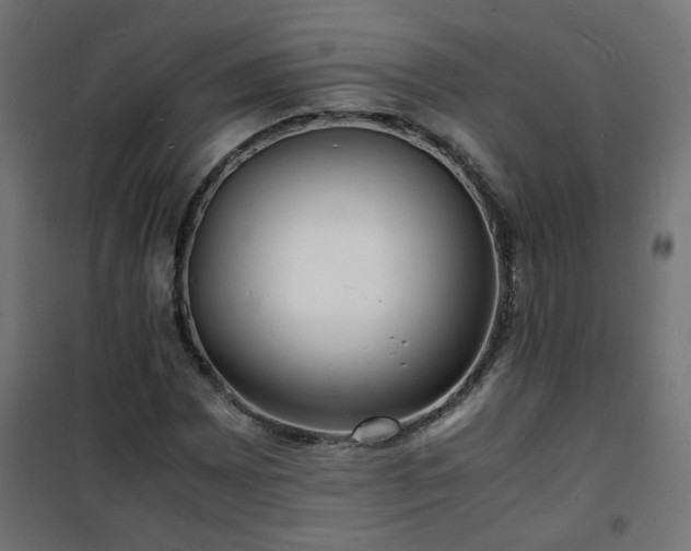 X0000101481065200807141409