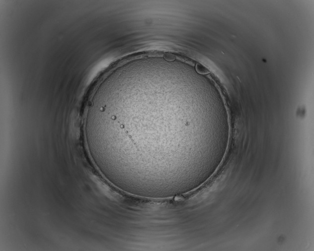 X0000101481067200807141409