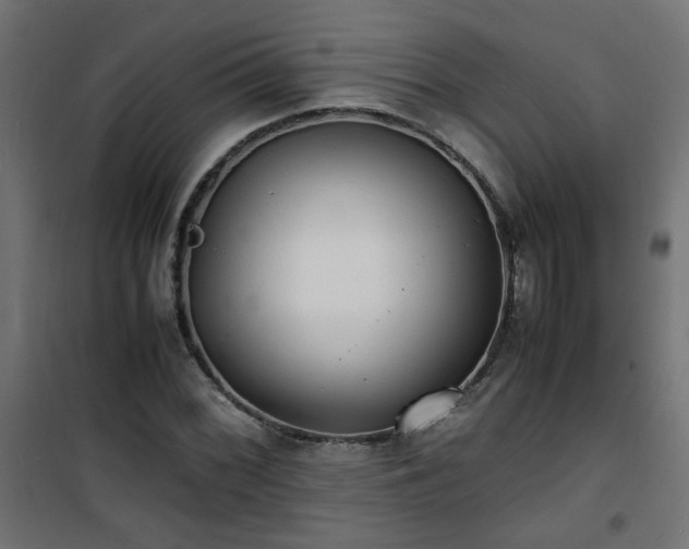 X0000101481068200807141409