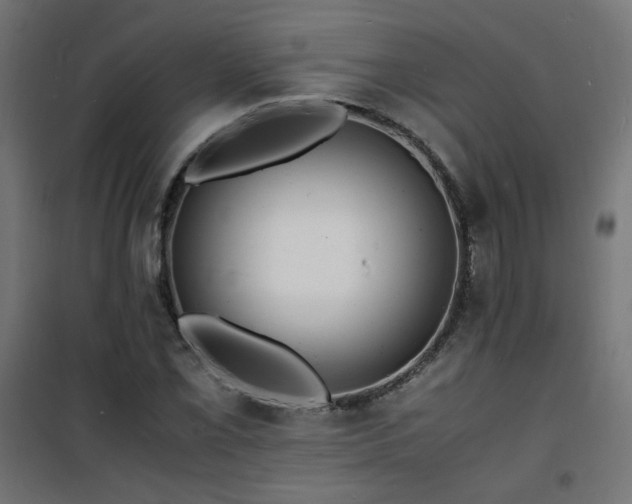 X0000101481069200807141409