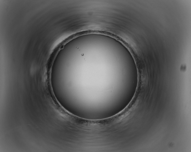 X0000101481070200807141409