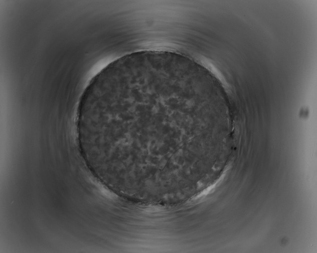 X0000101481071200807141409