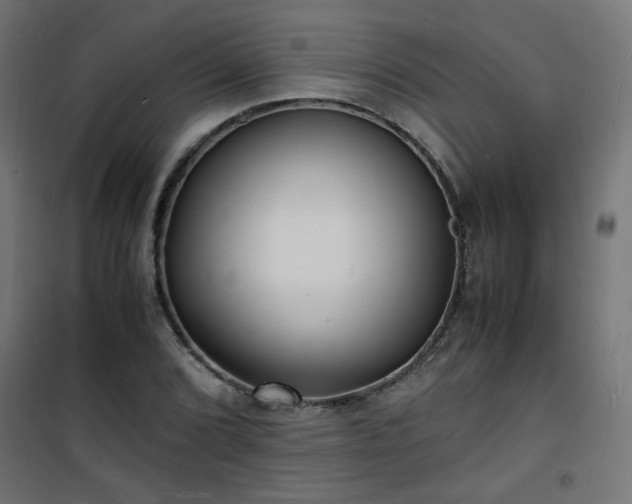 X0000101481072200807141409