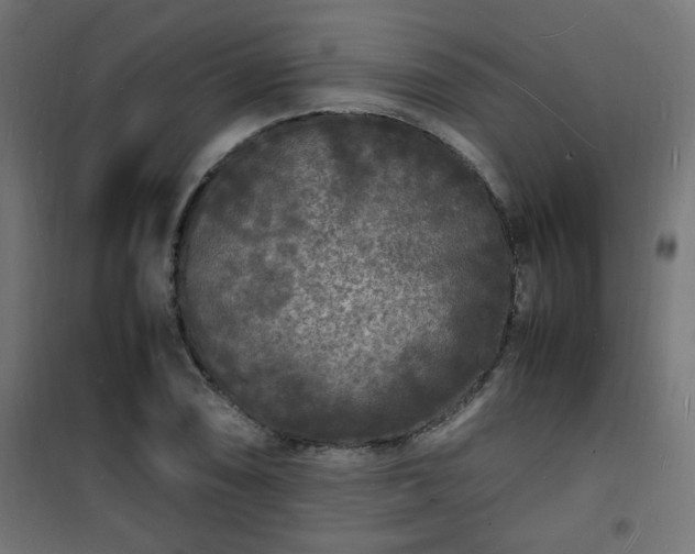 X0000101481074200807141409