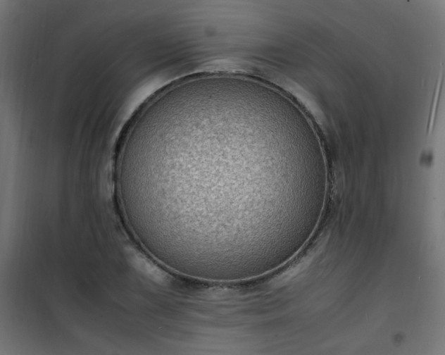 X0000101481075200807141409