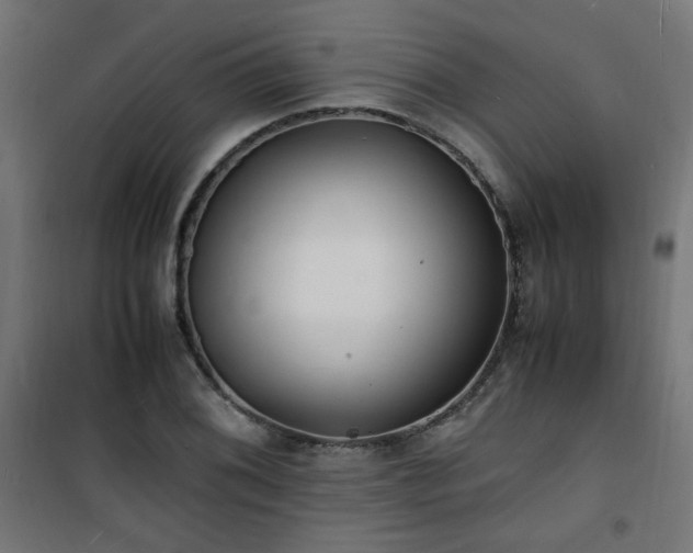 X0000101481076200807141409