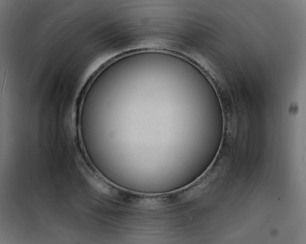 X0000101481078200807141409