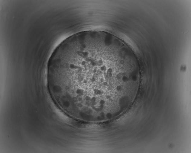 X0000101481079200807141409