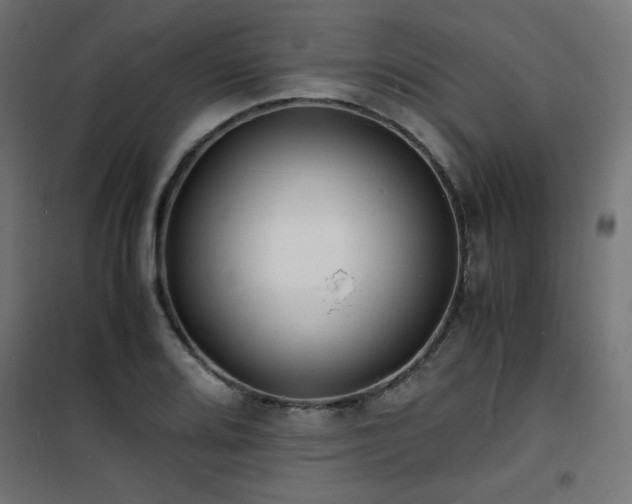 X0000101481080200807141409