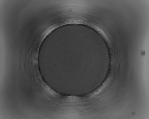 X0000101481081200807141409