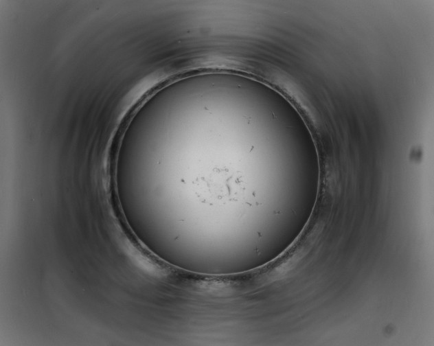 X0000101481082200807141409