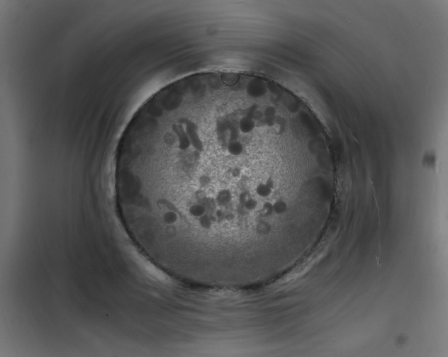 X0000101481083200807141409