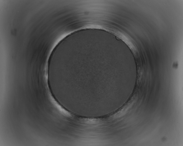 X0000101481084200807141409
