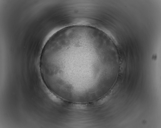 X0000101481086200807141409