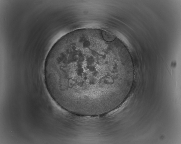 X0000101481087200807141409