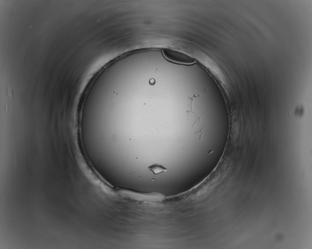 X0000101481088200807141409