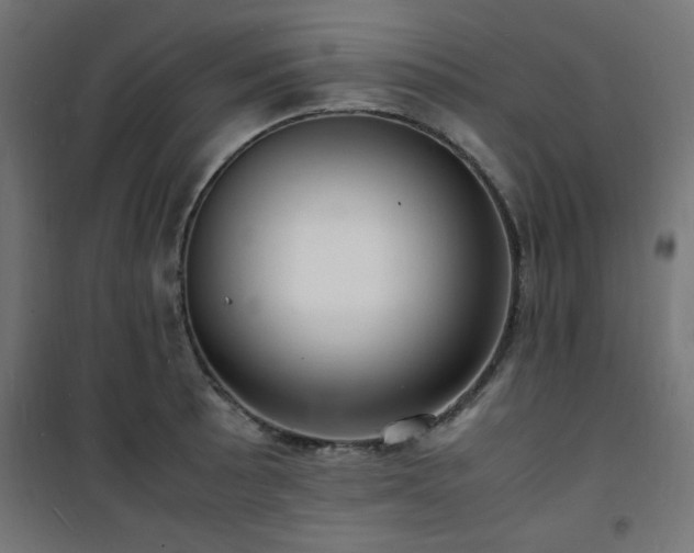 X0000101481089200807141409