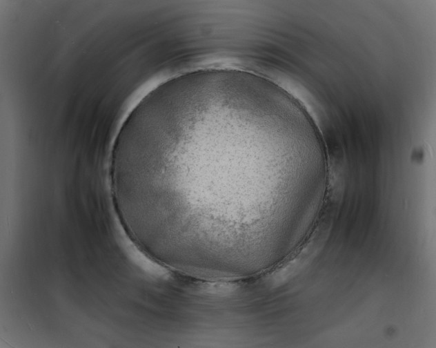 X0000101481090200807141409