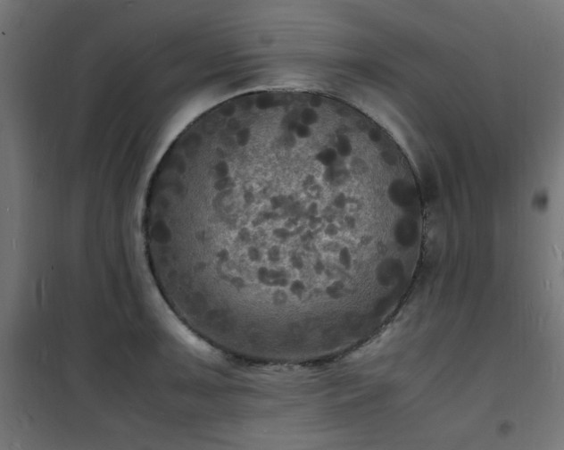 X0000101481091200807141409