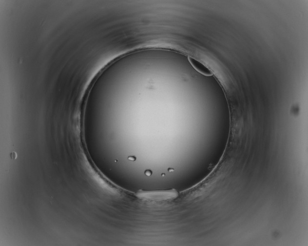 X0000101481092200807141409