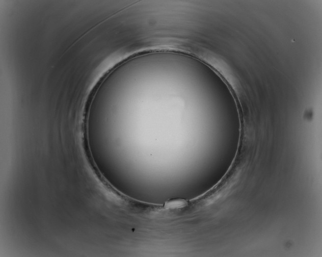 X0000101481093200807141409
