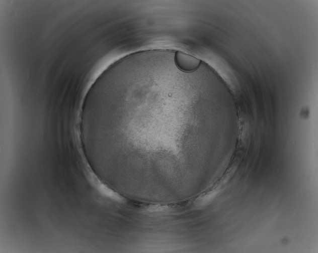 X0000101481094200807141409