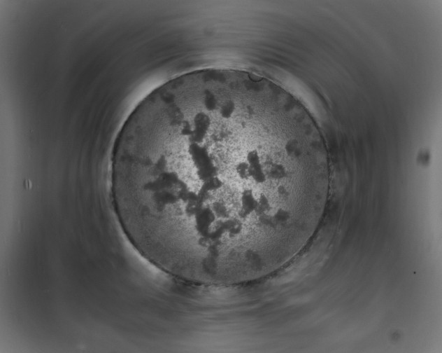X0000101481095200807141409