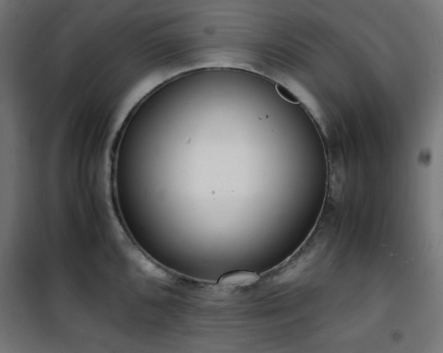 X0000101481096200807141409