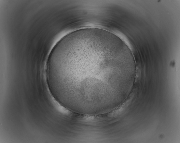 X0000101481098200807141409